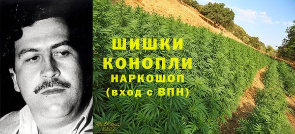 ПСИЛОЦИБИНОВЫЕ ГРИБЫ Балахна