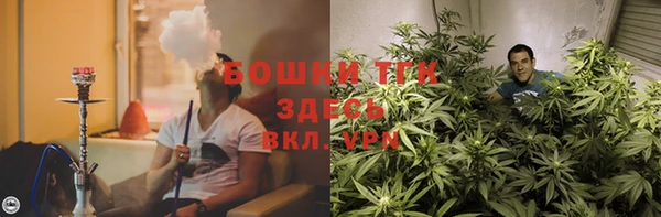 стаф Армянск