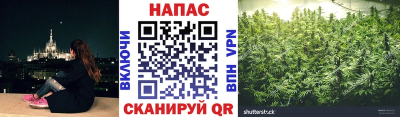 Марихуана Bruce Banner  Сольцы 